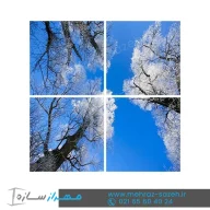 آسمان مجازی طرح زمستان برفی و زیبا