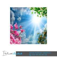 آسمان مجازی درخت و شکوفه